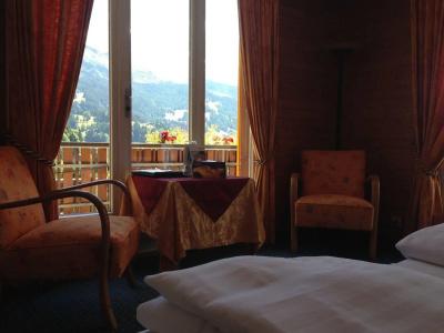 Bellevue-Wengen - Best view in town! - 3