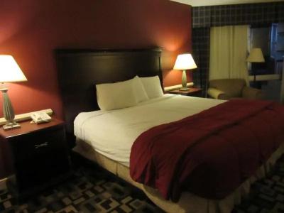 Dfw Airport & Conference Center - 34