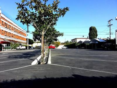 Hollywood Historic - 15