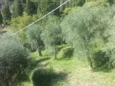 Locanda Ruscello Garnì - 38