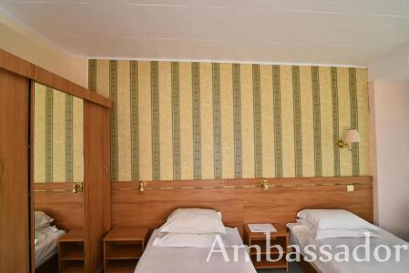 Ambassador - Free Parking - 2