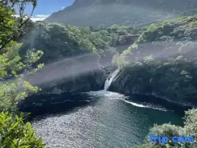 屋久島 民宿すぎのこ - 32