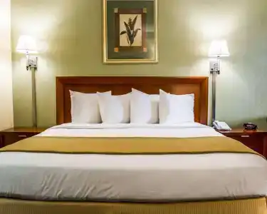 Quality Inn Airport - Cruise Port - 57