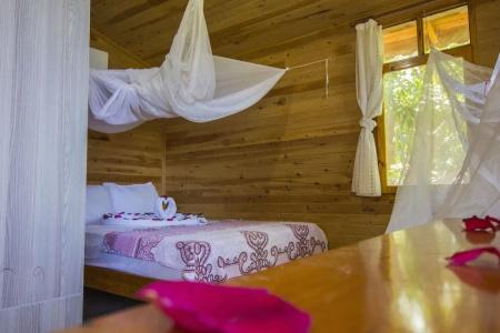 Full Moon Camp - 2