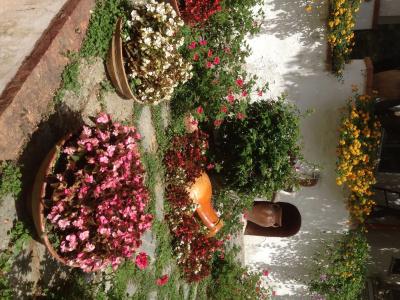Mediterraneo Bed & Breakfast - 13