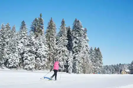 Allgäu Sonne - 20