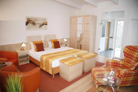 Hotelpark Stadtbrauerei Arnstadt - 4