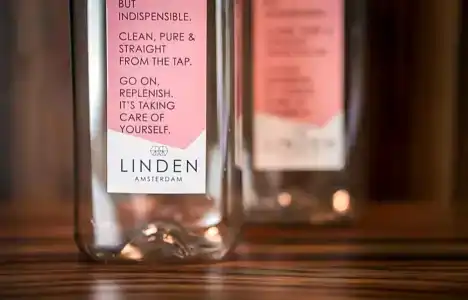 Linden - 61