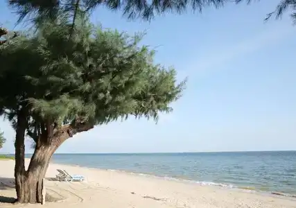 Purimas Beach & Spa - 16