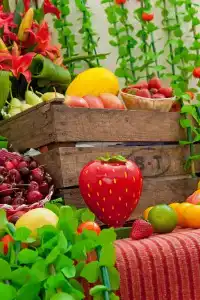 Strawberry Fields - 13