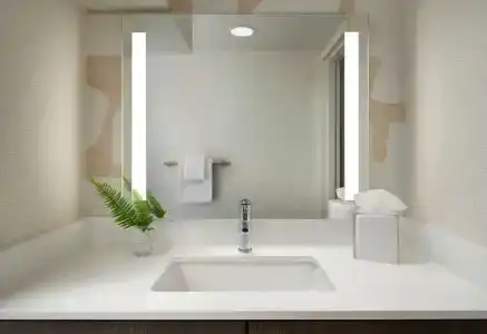 Sonesta ES Suites Chicago Downtown Magnificent Mile - 47