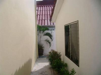 Patong Peace - 11
