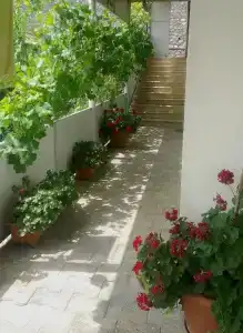 Abramichi Guest House - 7