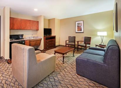 Holiday Inn Express & Suites Houston-Downtown Convention Center, An Ihg - 63