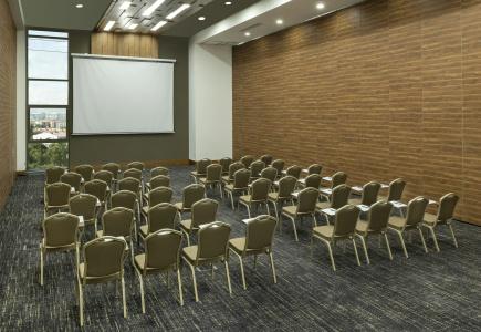 DoubleTree by Hilton Manisa - 16