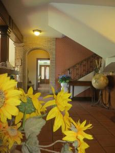 Girasole - 12