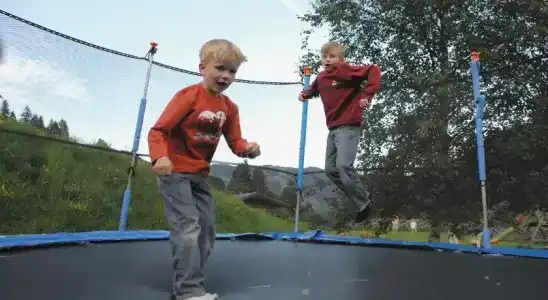 Ferienhof Pfefferbauer - 14