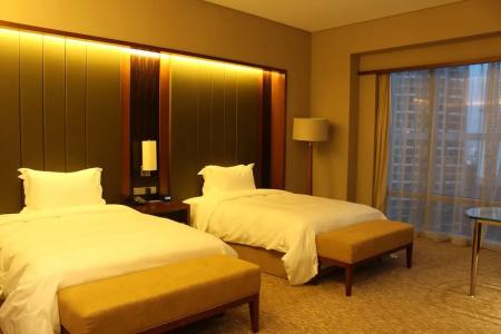 Hilton Nanjing Riverside - 119