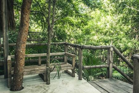 Roc Jungle Tulum - 22
