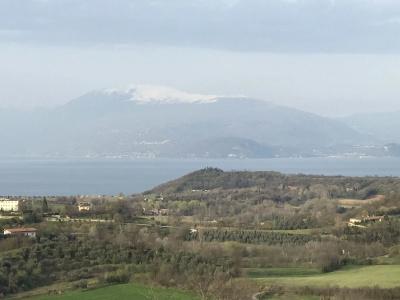 Villa Rosa - 26