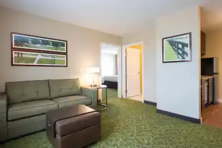 TownePlace Suites by Marriott South/Hamburg Place - 42