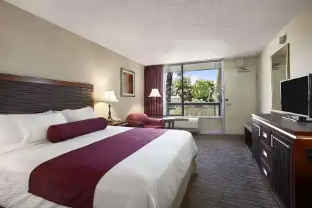Ramada by Wyndham/Silicon Valley - 28