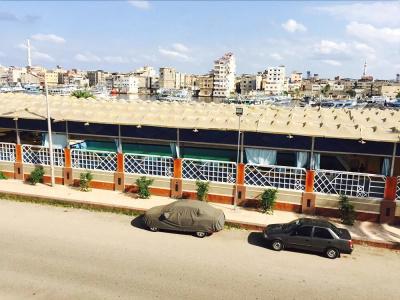 Dolphin Ras El-Bar - 26