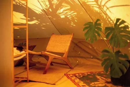 The Maverick Surf and Dive Boutique - 6