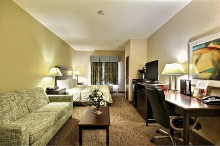 Magnolia Inn and Suites Pooler - 29