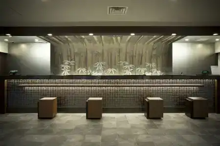 Hot Spring from Deep Water Osaka Hinode Nipponbashi - 18
