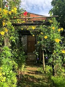 Angkor Rural Boutique - 43