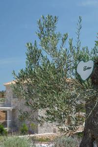 Edem Resort - 21