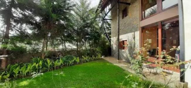 Oasis Bungalow - Nuwara Eliya - 11