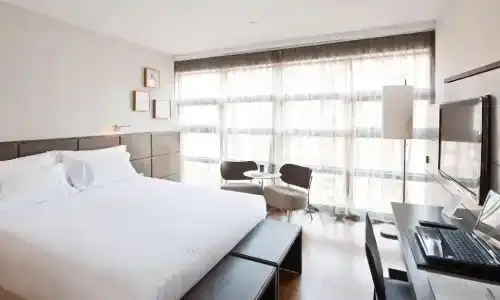 Reina Petronila - 50