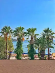 Bitez Deniz - 12