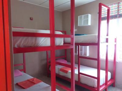 Marine Tourist Guest House At Negombo Beach - 19