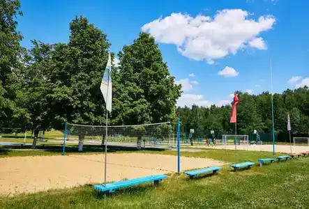 Случь - 11
