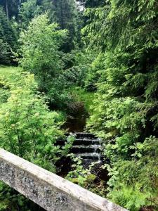 Engel Obertal - 39