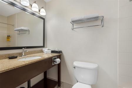 Best Western Plus Suites Downtown - 9