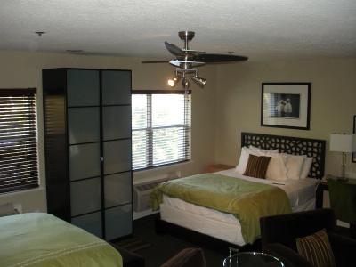 The Eo Inn - Downtown Orlando - 4