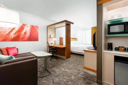SpringHill Suites by Marriott San Diego Mission Valley - 40