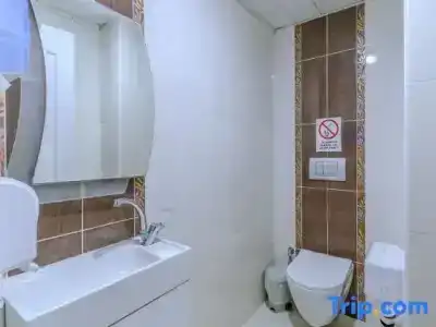 Afyon Dundar Thermal Villa - 26