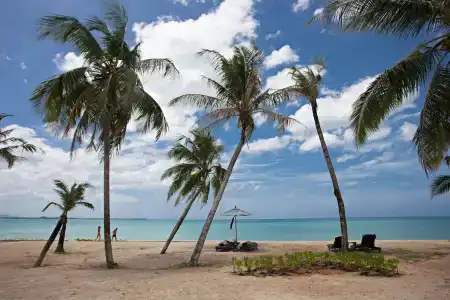 Le Meridien Khao Lak Resort & Spa - Sha Extra Plus - 47