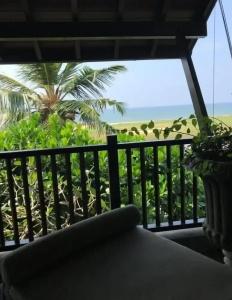 The Postcard Galle - 26