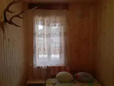 Волчица - 4