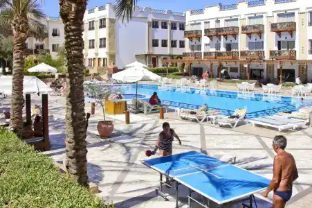 Falcon Naama Star - 29
