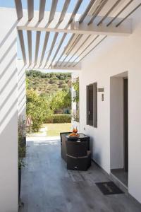 Sunny Garden - 51