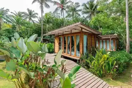 Jungle Koh - 32