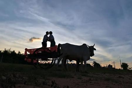 Angkor Rural Boutique - 68