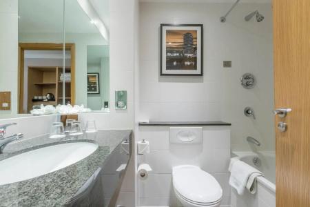 Clayton Ballsbridge - 9